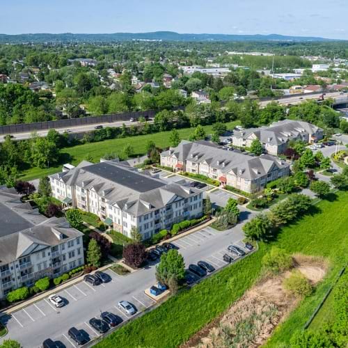 Aerial View Aerial View